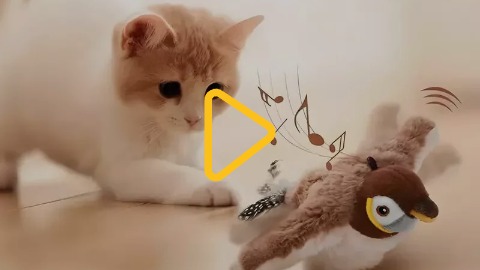 Інтерактивна іграшка для домашніх улюбленців - «Пташка»